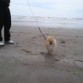 mi baby en la playa !!